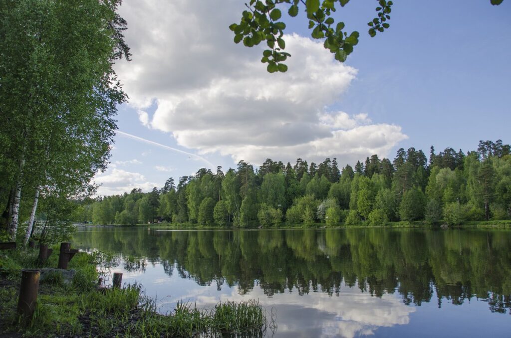 Алексеевский пруд