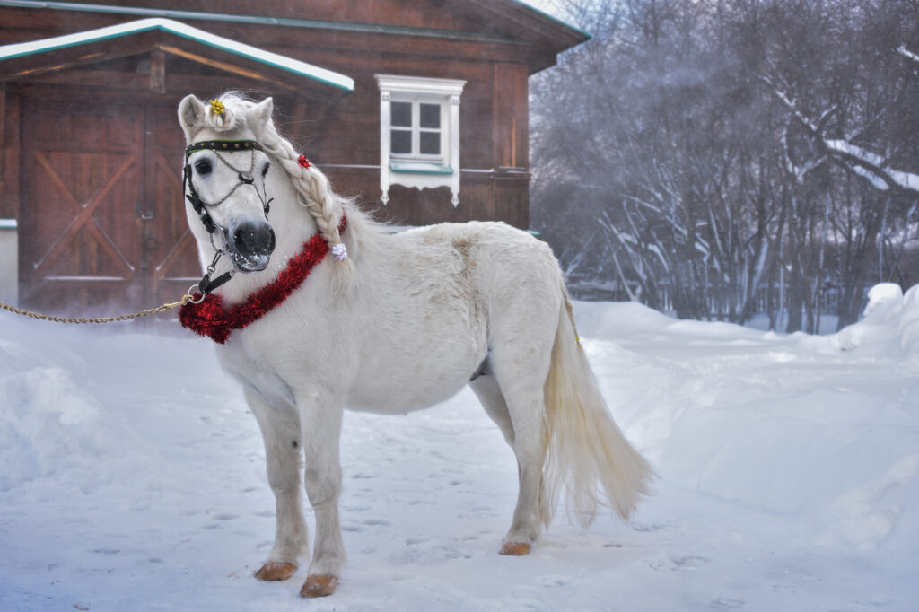 Конюшенный двор