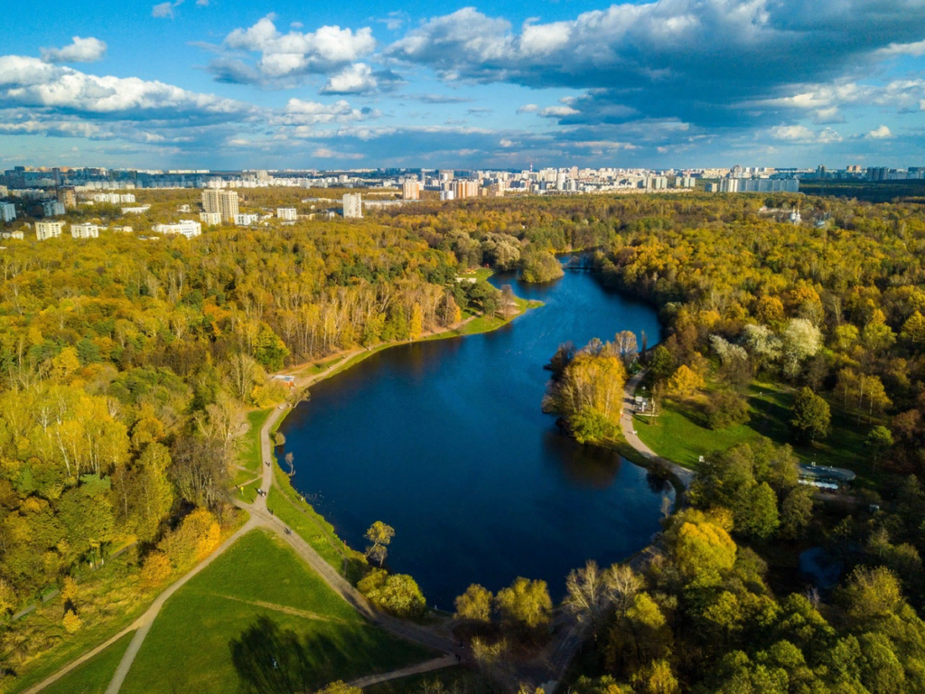 Парк Кузьминки в Москве - подробный обзор, схема, где находится, метро!