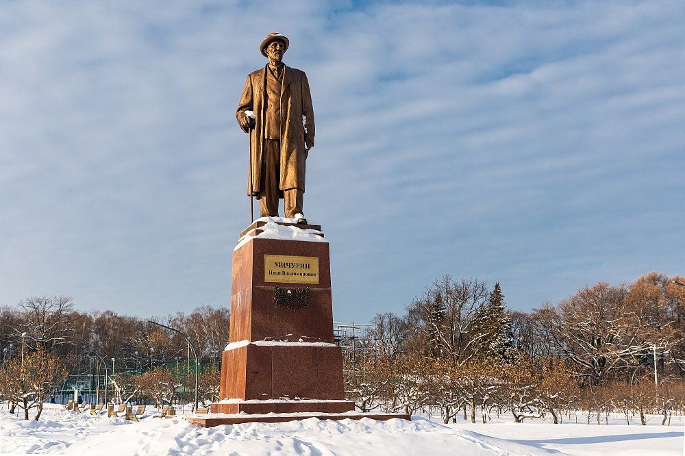 Памятник И.В. Мичурину